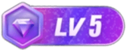 等级-LV5-有道网创