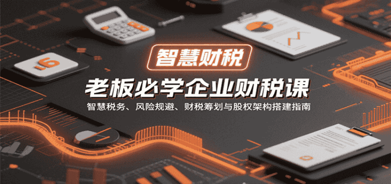 老板必学企业财税课：智慧税务、风险规避、财税筹划与股权架构搭建指南-有道网创