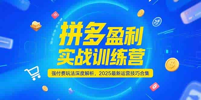 （15183期）拼多多盈利实战训练营，强付费玩法深度解析，2025运营技巧合集-更新6月-有道网创
