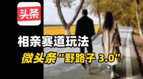 微头条“野路子3.0”相亲赛道玩法，搬砖式操作单号稳定3张-有道网创