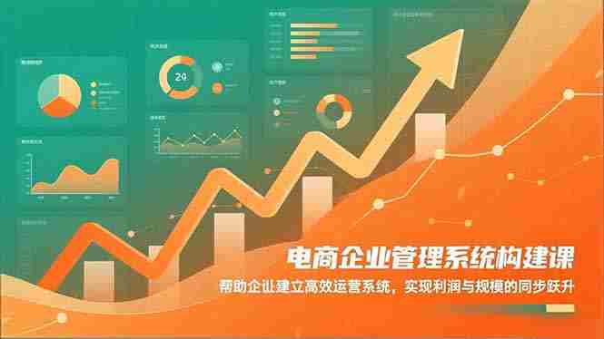 （16643期）电商企业管理系统构建课：帮助企业建立高效运营系统，实现利润与规模的同步跃升-有道网创