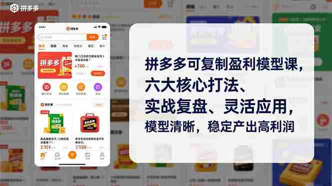 （16952期）拼多多可复制盈利模型课，六大核心打法、实战复盘、灵活应用，模型清晰，稳定产出高利润-有道网创