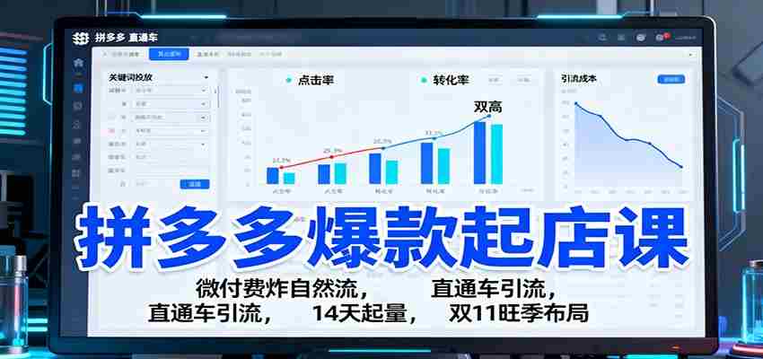 拼多多爆款起店课：微付费炸自然流，直通车引流，14天起量，双11旺季布局-有道网创