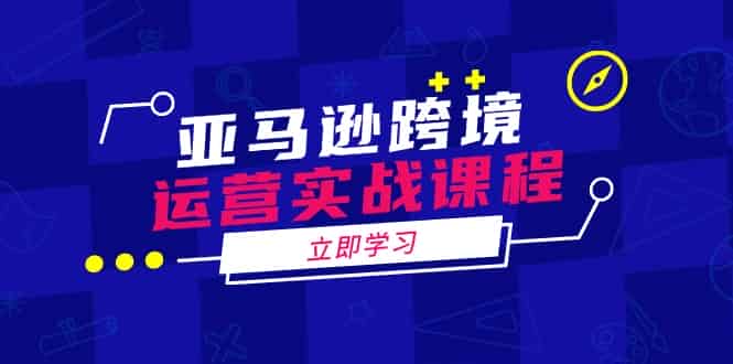 （14188期）亚马逊跨境运营实战课程：涵盖亚马逊运营、申诉、选品等多个方面-有道网创
