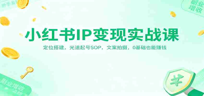小红书IP变现实战课：定位搭建，光速起号SOP，文案拍摄，0基础也能赚钱-有道网创