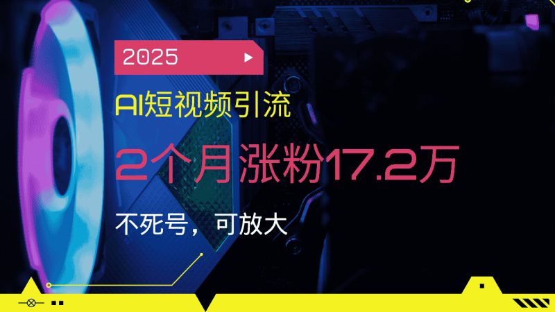 （14213期）2025AI短视频引流，2个月涨粉17.2万，不死号，可放大-有道网创
