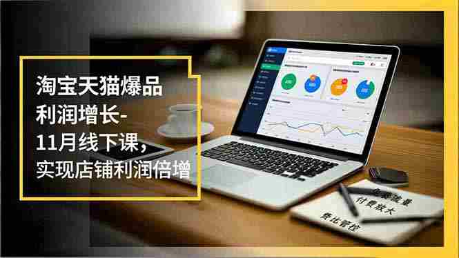 （16824期）淘宝天猫爆品利润增长-11月线下课，免费流量、付费放大、费比管控，实现店铺利润倍增-有道网创