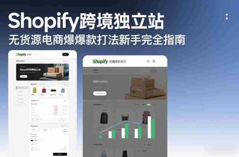Shopify跨境独立站无货源电商爆款打法新手完全指南-有道网创