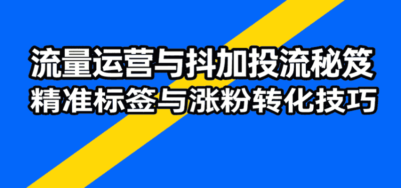 流量运营与抖加投流秘笈,含算法解析、爆款打造、精准标签与涨粉转化技巧-有道网创