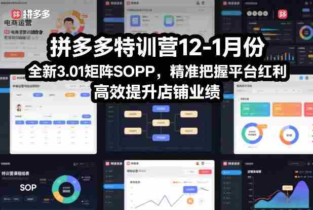 拼多多特训营12-1月份,全新3.01矩阵Sop,精准把握平台红利,高效提升店铺业绩-有道网创