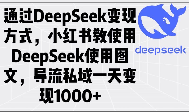 （14179期）通过DeepSeek变现方式，小红书教使用DeepSeek图文，导流私域一天变现1000+-有道网创