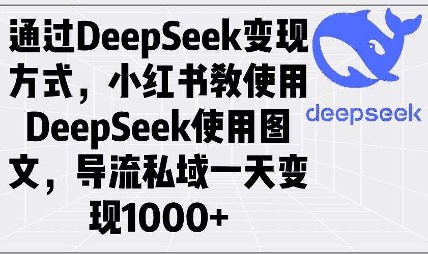 （14179期）通过DeepSeek变现方式，小红书教使用DeepSeek图文，导流私域一天变现1000+-有道网创