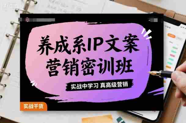 养成系IP文案营销密训班，实战中学习真高级营销-有道网创