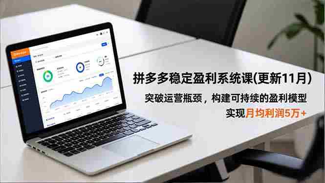 （16641期）拼多多稳定盈利系统课(更新11月)，突破运营瓶颈，构建可持续的盈利模型，实现月均利润5万+-有道网创