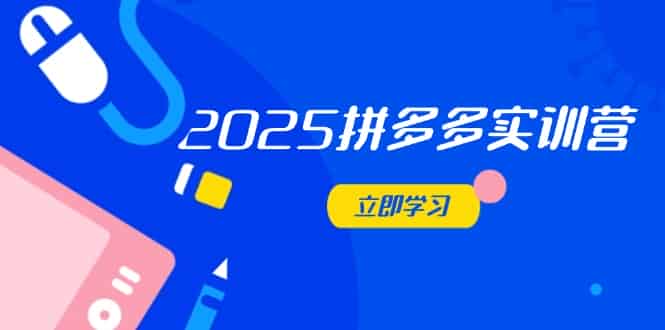 （14531期）2025拼多多实训营：深度剖析运营关键，助力电商人快速提升-有道网创