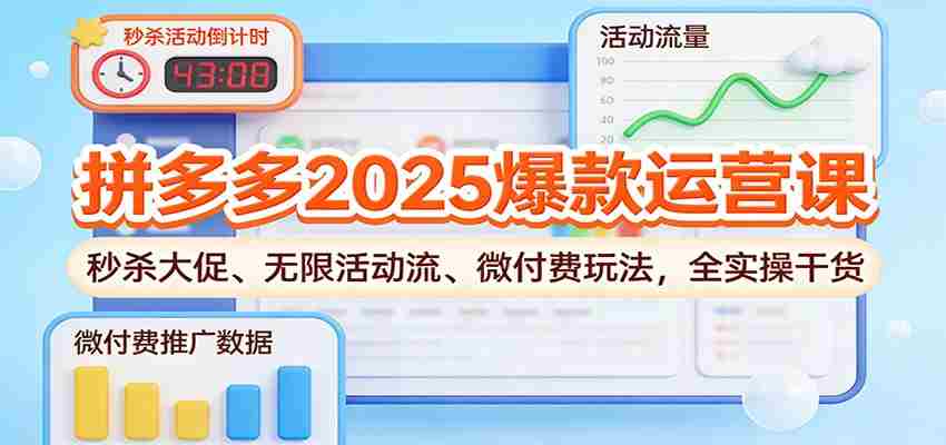 拼多多2025爆款运营课：秒杀大促、无限活动流、微付费玩法，全实操干货-有道网创