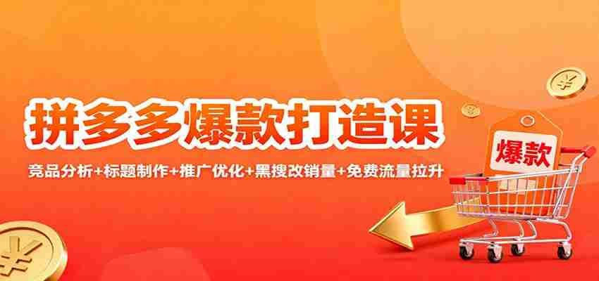 拼多多爆款打造课：竞品分析+标题制作+推广优化+黑搜改销量+免费流量拉升-有道网创
