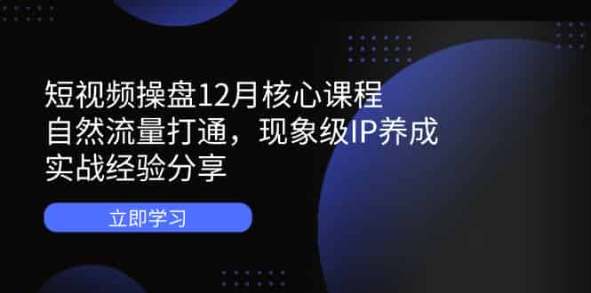 （14447期）短视频操盘12月核心课程：自然流量打通，现象级IP养成，实战经验分享-有道网创