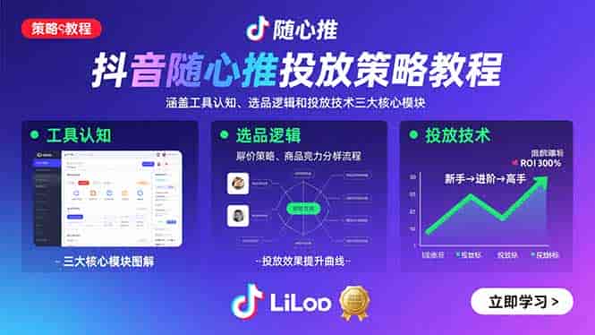 （15828期）抖音随心推投放策略教程：涵盖工具认知、选品逻辑和投放技术三大核心模块-有道网创
