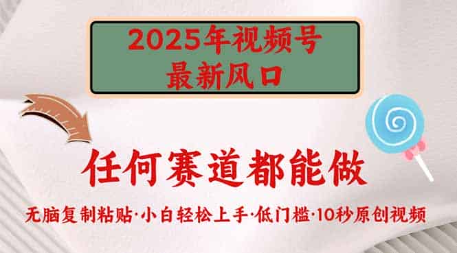 （14453期）2025年视频号新风口，低门槛只需要无脑执行-有道网创