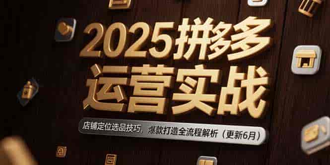 （15235期）2025拼多多运营实战：店铺定位选品技巧，爆款打造全流程解析（更新6月）-有道网创