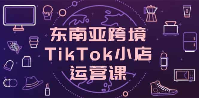 （14390期）东南亚跨境TikTok小店运营课，掌握店铺设置与流量转化核心技巧-有道网创