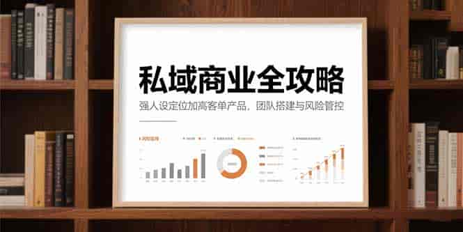（15294期）私域商业全攻略，强人设定位加高客单产品，团队搭建与风险管控-有道网创