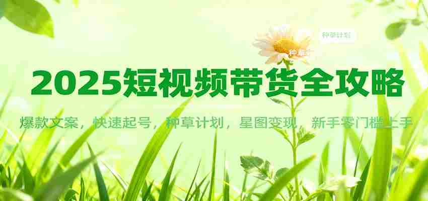 2025短视频带货全攻略：爆款文案，快速起号，种草计划，星图变现，新手零门槛上手-有道网创