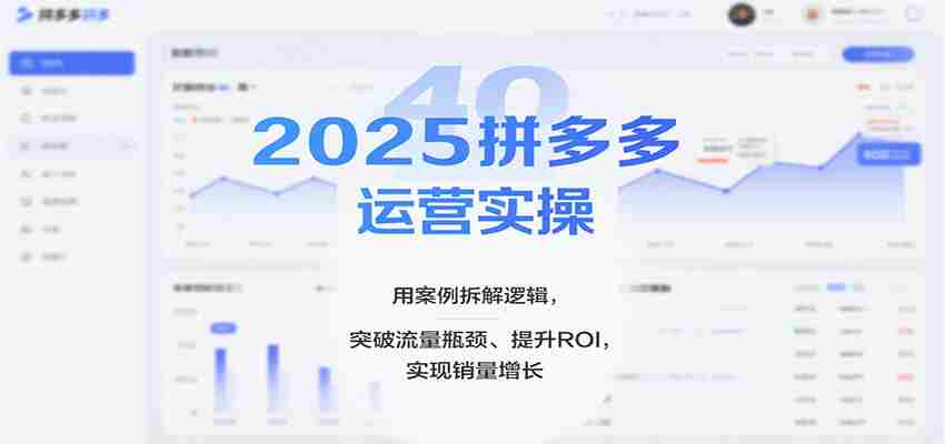 2025拼多多运营实操，用案例拆解逻辑，突破流量瓶颈、提升ROI，实现销量增长（更新）-有道网创