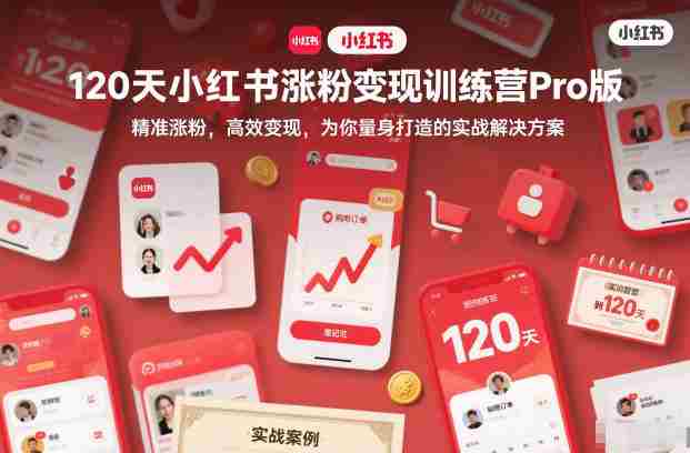 120天小红书涨粉变现训练营Pro版，​精准涨粉，高效变现​，为你量身打造的实战解决方案-有道网创