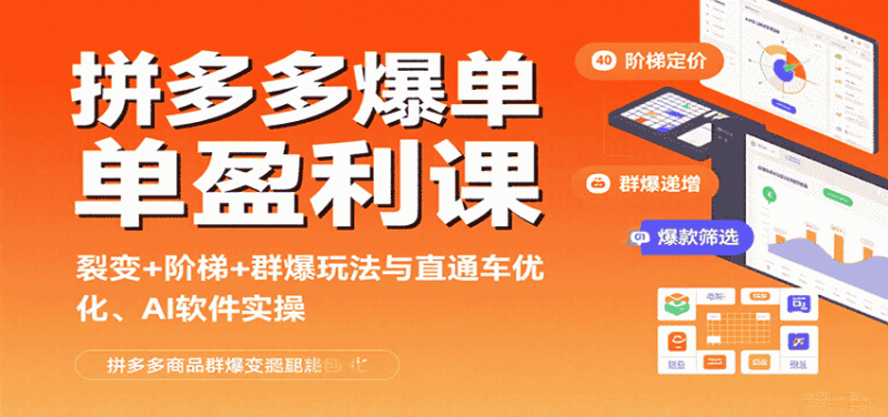 拼多多爆单盈利课：裂变+阶梯+群爆玩法与直通车优化、AI 软件实操-有道网创