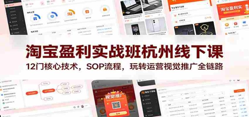 淘宝盈利实战班杭州线下课：12门核心技术，SOP 流程，玩转运营视觉推广全链路-有道网创