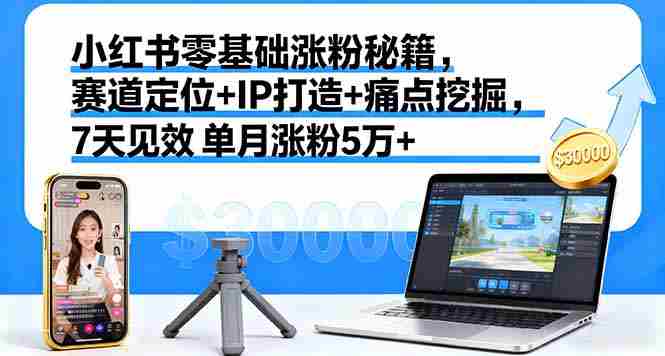 (16158期)小红书零基础涨粉秘籍,赛道定位+IP打造+痛点挖掘,7天见效 单月涨粉5万+-有道网创