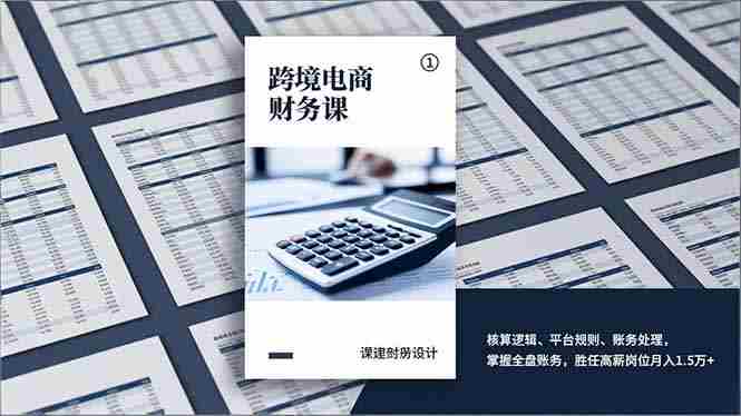 （17036期）跨境电商财务课，核算逻辑、平台规则、账务处理，掌握全盘账务，胜任高薪岗位月入1.5万+-有道网创
