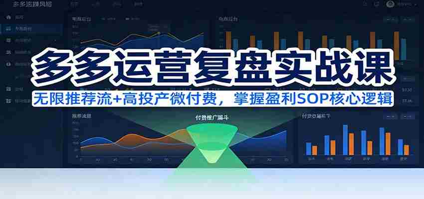 多多运营复盘实战课：无限推荐流+高投产微付费，掌握盈利SOP核心逻辑（更新）-有道网创