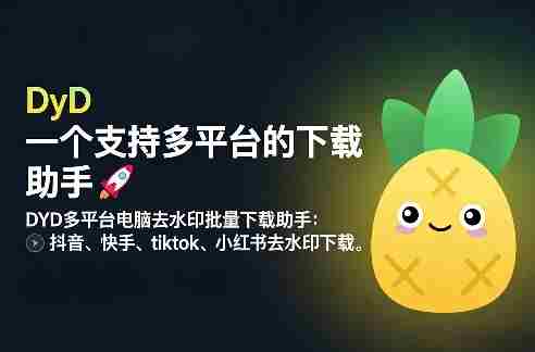 DYD多平台电脑去水印批量下载助手：抖音、快手、tiktok、小红书去水印下载-有道网创