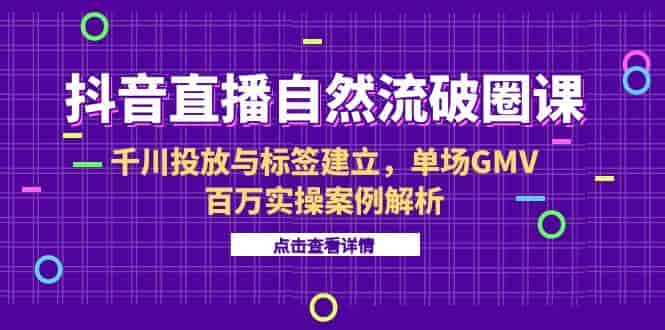 （15136期）抖音直播自然流破圈课-6月，千川投放与标签建立，单场GMV百万实操案例解析-有道网创