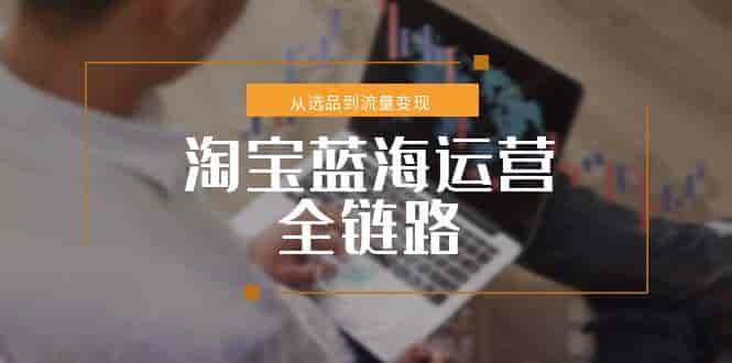 （15160期）淘宝蓝海运营全链路，从选品到流量变现，小类目突围完整方案-有道网创