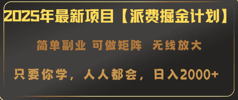 （14518期）2025年最新项目【派费掘金计划】操作简单，日入2000+-有道网创