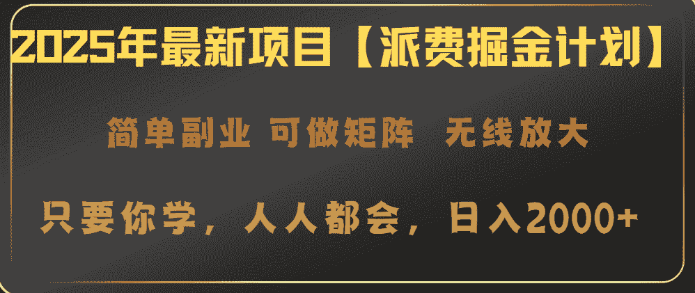 （14518期）2025年最新项目【派费掘金计划】操作简单，日入2000+-有道网创