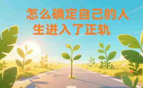某公众号付费文章:怎么确定自己的人生进入了正轨?-有道网创