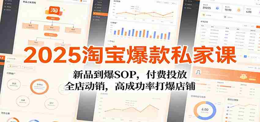 2025淘宝爆款私家课：新品到爆SOP，付费投放，全店动销，高成功率打爆店铺-有道网创
