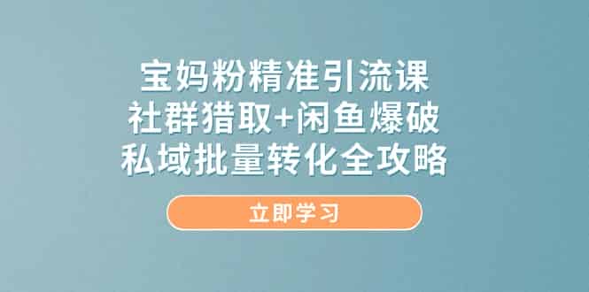 （14820期）宝妈粉精准引流课，社群猎取+闲鱼爆破，私域批量转化全攻略-有道网创