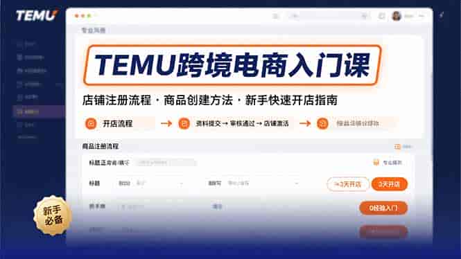 （15682期）TEMU跨境电商入门课，店铺注册流程，商品创建方法，新手快速开店指南-有道网创