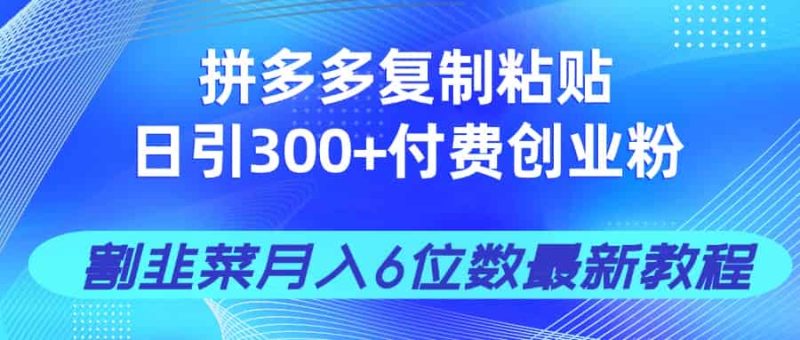 (14232期)拼多多复制粘贴日引300+付费创业粉,割韭菜月入6位数最新教程!-有道网创