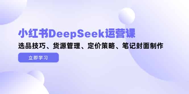 （14748期）小红书DeepSeek运营课，选品技巧、货源管理、定价策略、笔记封面制作-有道网创