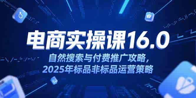 （15262期）淘宝电商运营课16.0，自然搜索与付费推广攻略，2025年标品非标品运营策略-有道网创