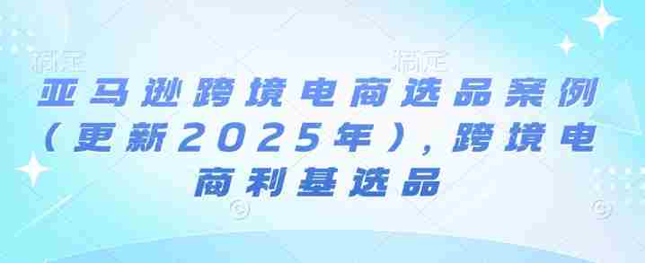 亚马逊跨境电商选品案例(更新2025年10月),跨境电商利基选品-有道网创