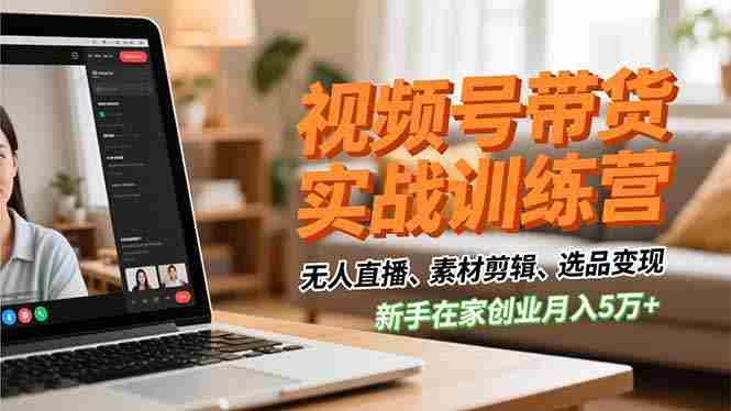 （16762期）视频号带货实战训练营，无人直播、素材剪辑、选品变现，新手在家创业月入5万+-有道网创