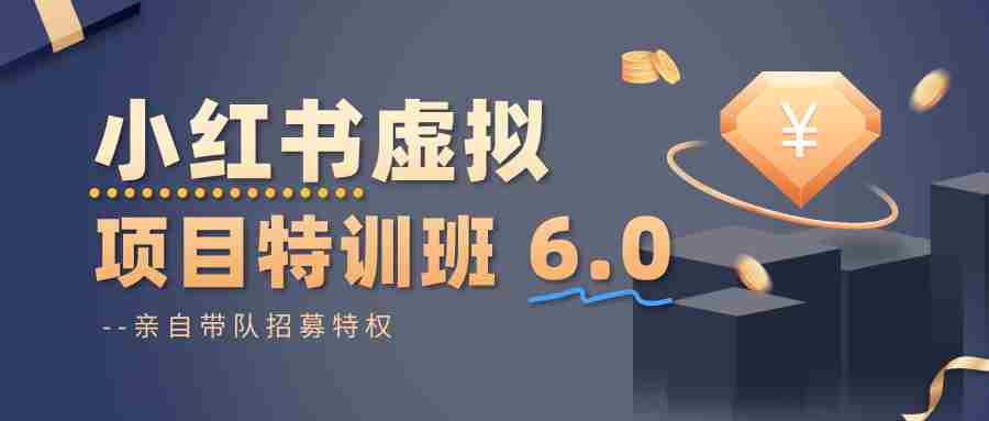 小红书虚拟项目特训班6.0 ，养号/选品/自动发货/爆款笔记（含40节视频课）-有道网创